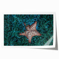 Extra large rolled print of a Caribbean Martinique scenery with vibrant floral elements, ideal for art wall dining room.