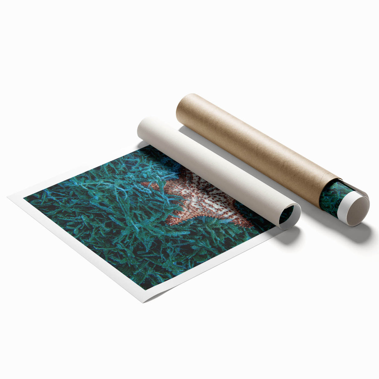 Extra large wall art featuring a serene Martinique landscape with vibrant greenery and blue waters on a rolled canvas.