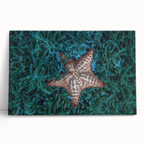 Black and white photograph of Caribbean Martinique scenery on stretched canvas, suitable as large kitchen wall art.