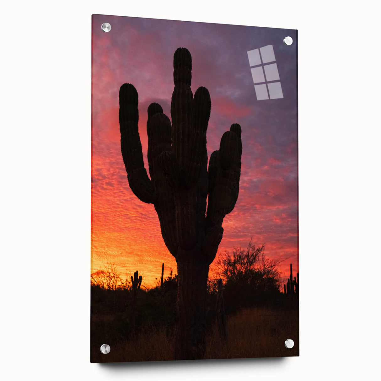 Acrylic print of Baja California scenery in muted earth tones, ideal for dining room decor.
