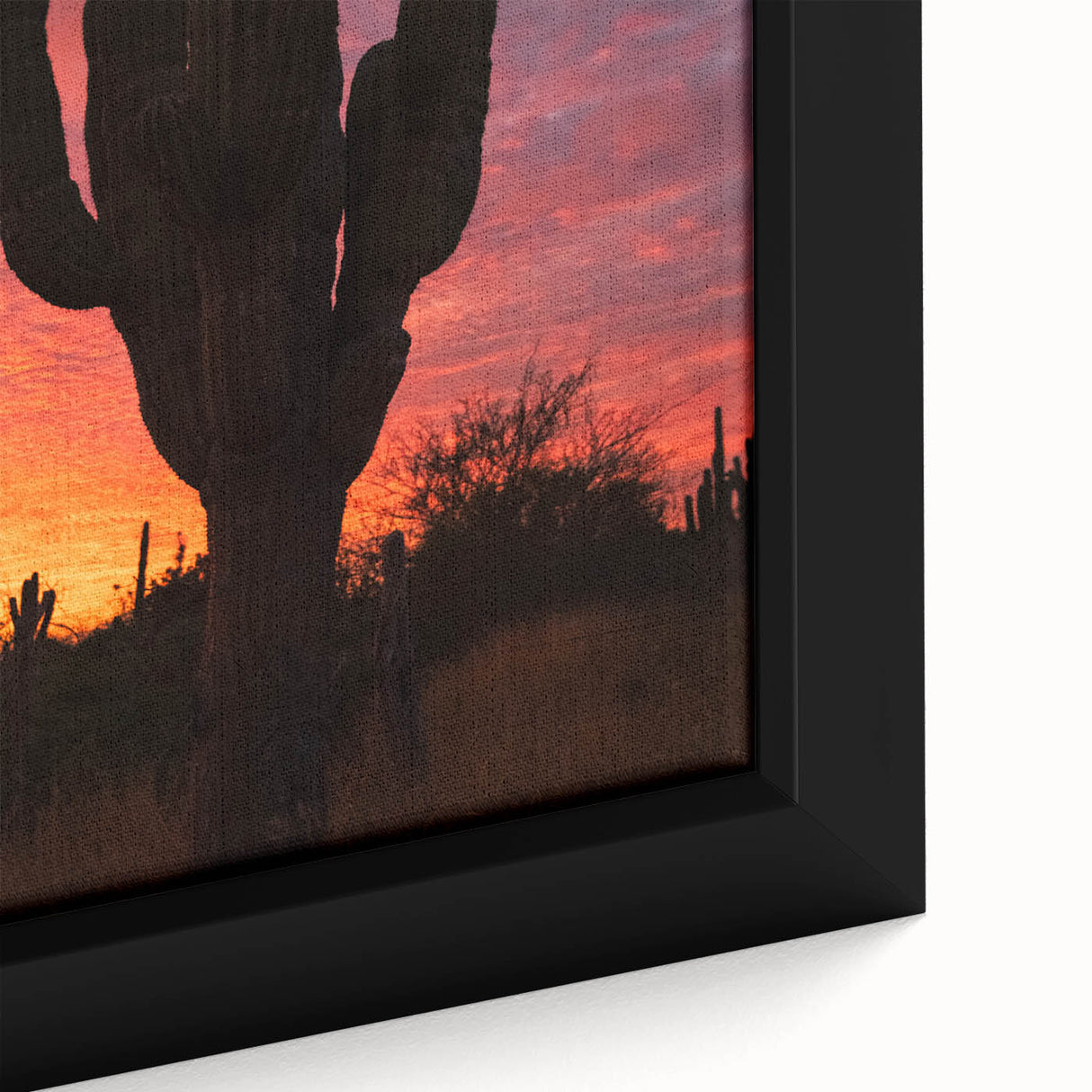 Extra large framed canvas depicting the colorful, textured scenery of Baja California, ideal for living room wall art.
