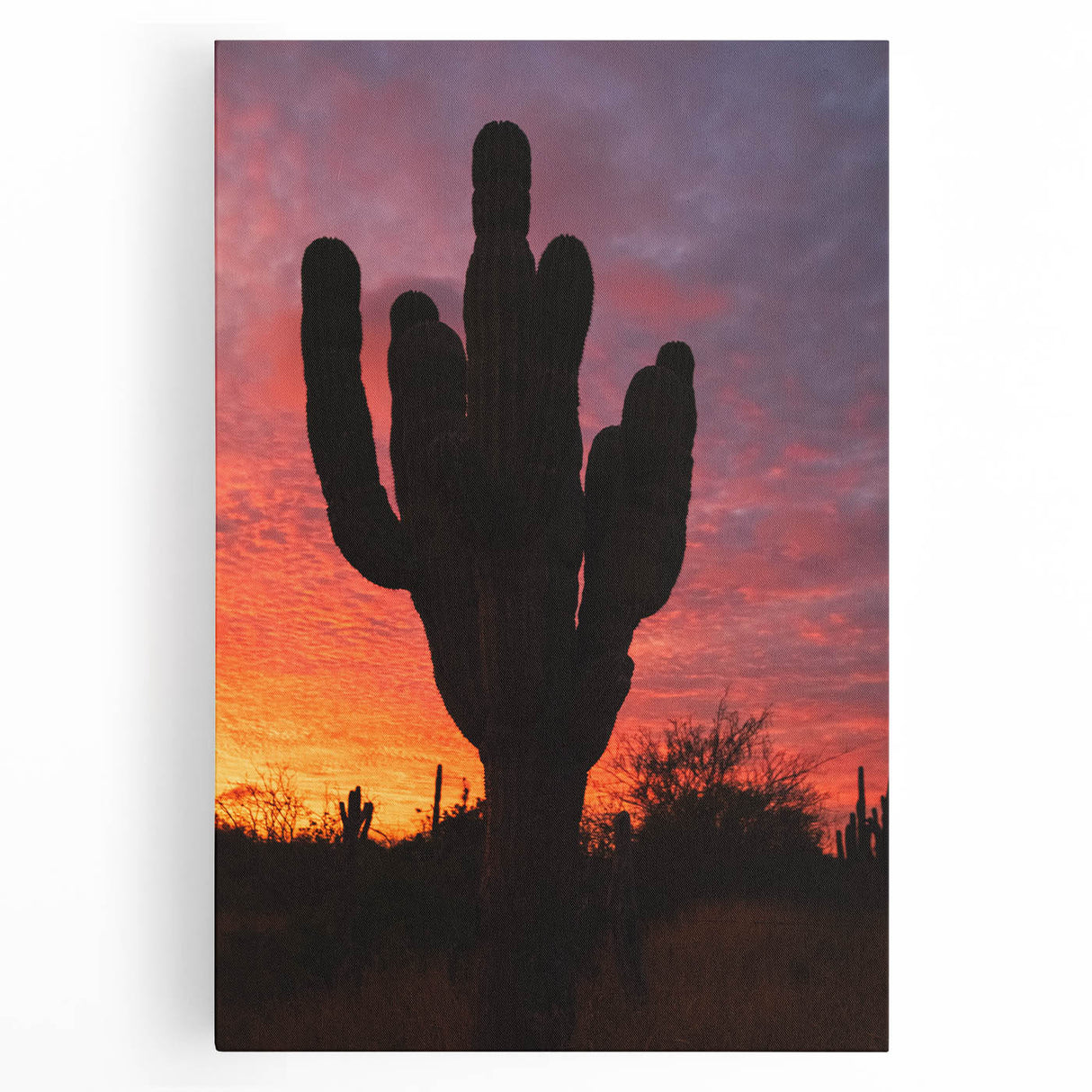 Black and white stretched canvas of Baja California scenery, ideal for kitchen wall art.