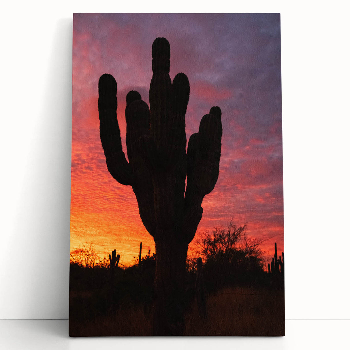 Black and white stretched canvas of Baja California scenery, ideal for kitchen wall art or bedroom ambiance.