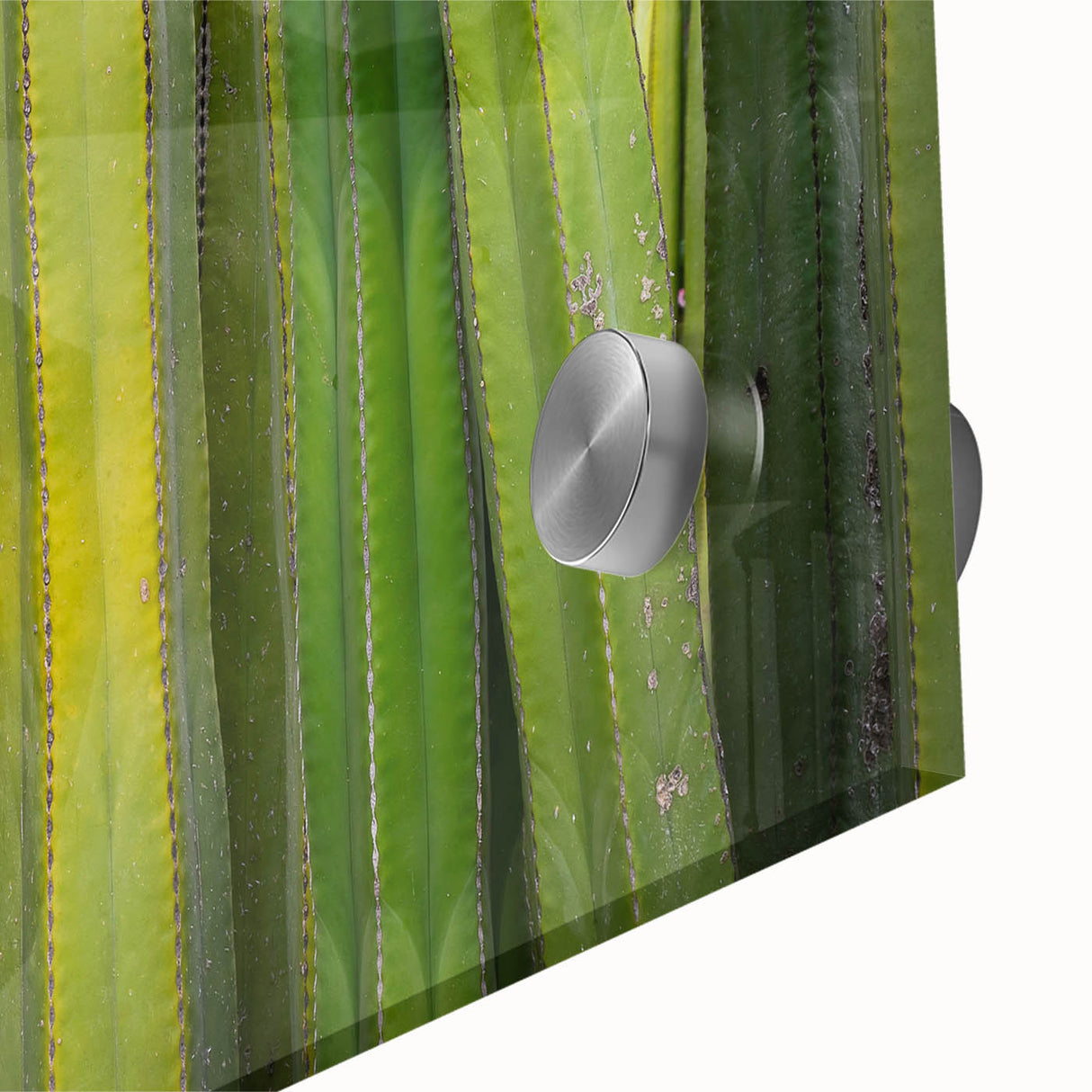 Large abstract wall art of Oaxaca scenery in mid-century modernist style, vividly colored, printed on acrylic glass.