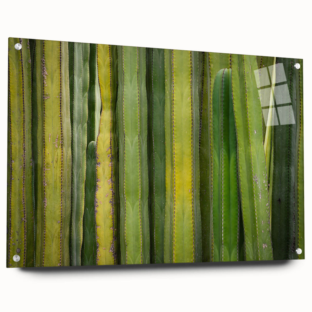 Acrylic print of Oaxaca scenery in rich earth tones, ideal for dining room or bedroom decor.