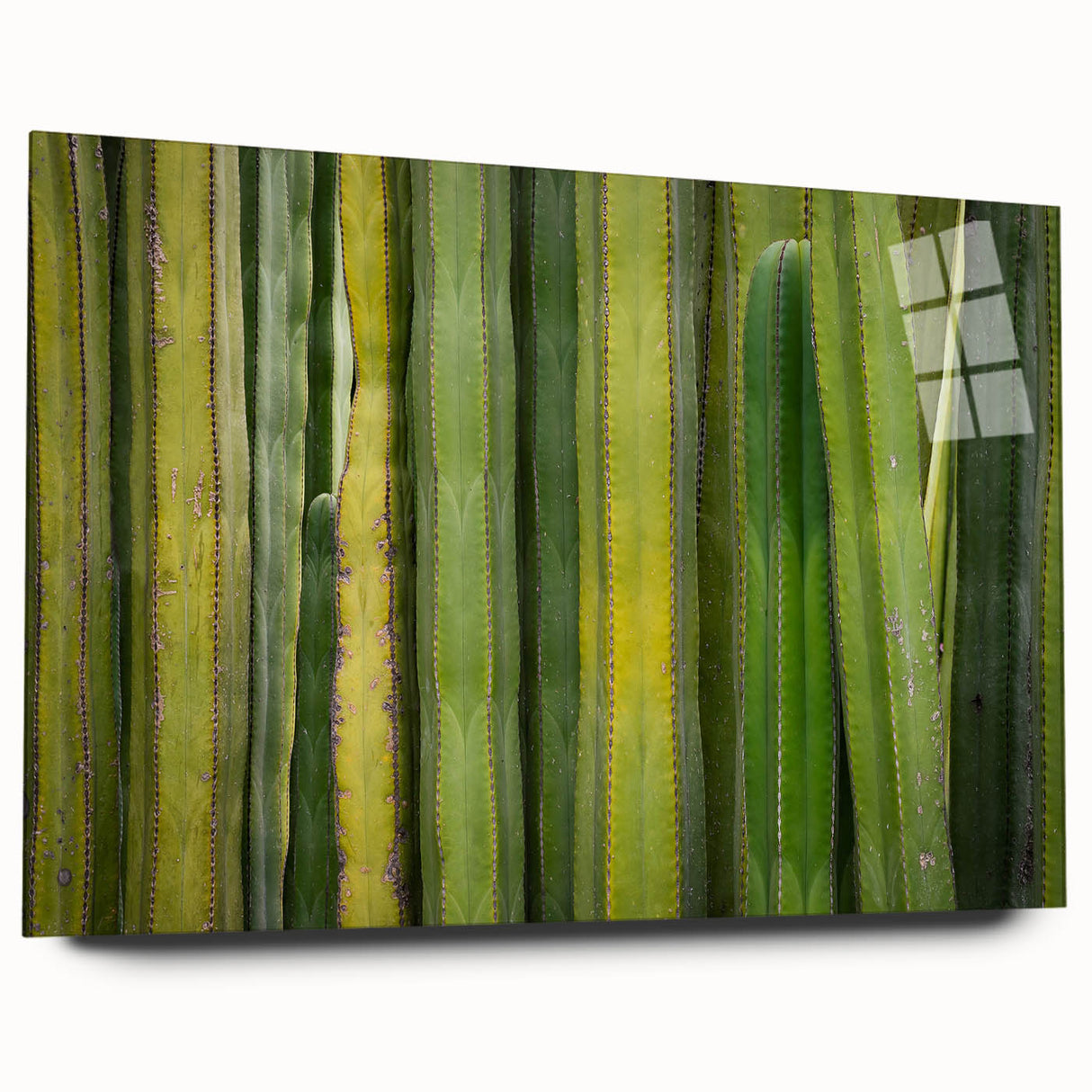 Large abstract wall art depicting a scenic view of Oaxaca, Mexico in muted earth tones on acrylic glass.