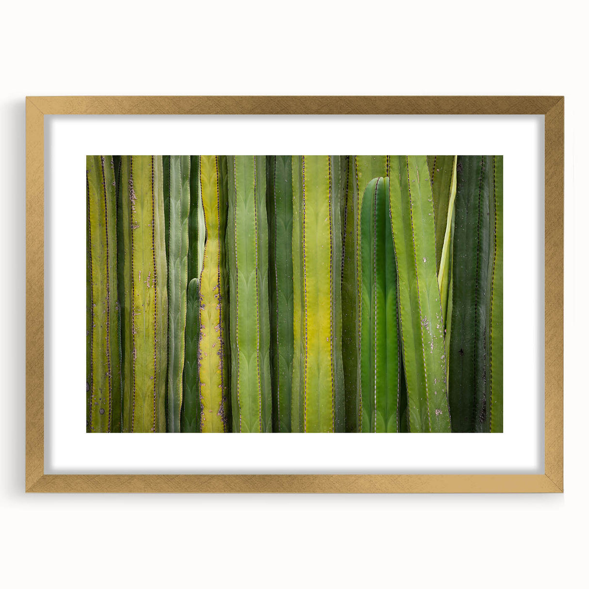 Extra large abstract art print of Oaxaca scenery in textured gold frame, ideal for living room decor.
