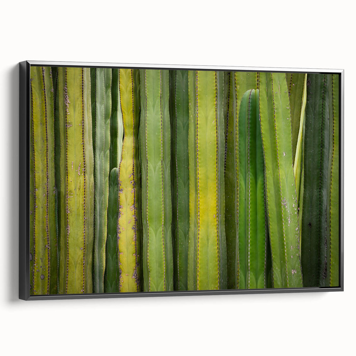 Black and white framed canvas of Oaxaca landscape, in vintage poster style, ideal for bedroom decor.