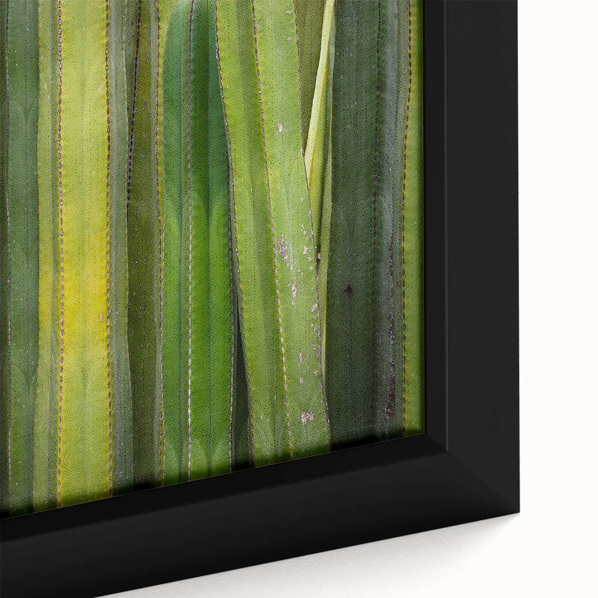 Black wall art depicting Oaxaca, Mexico scenery on a textured, framed canvas with vibrant, colorful accents.