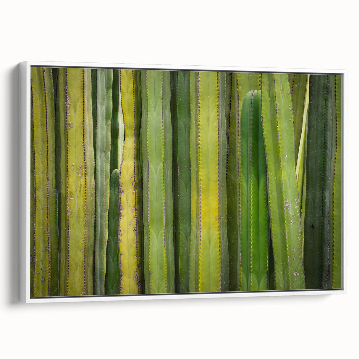 Vintage poster art of Oaxaca scenery on extra large framed canvas in vibrant colors, ideal for living room decor.