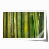 Extra large rolled print of Oaxaca, Mexico scenery with vibrant floral elements, ideal for art wall dining room.