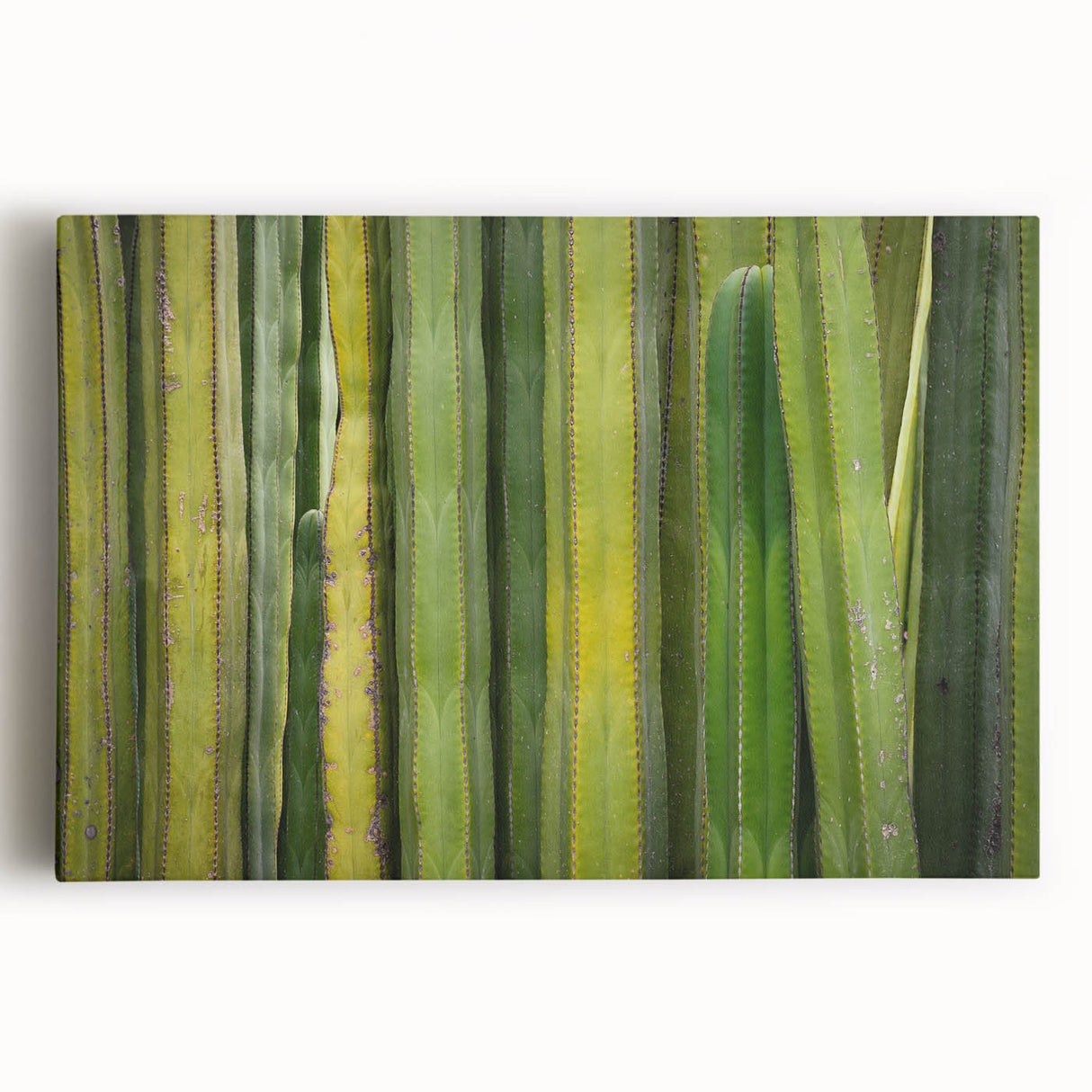Large black and white stretched canvas of Oaxaca, Mexico scenery, suitable as kitchen wall art.