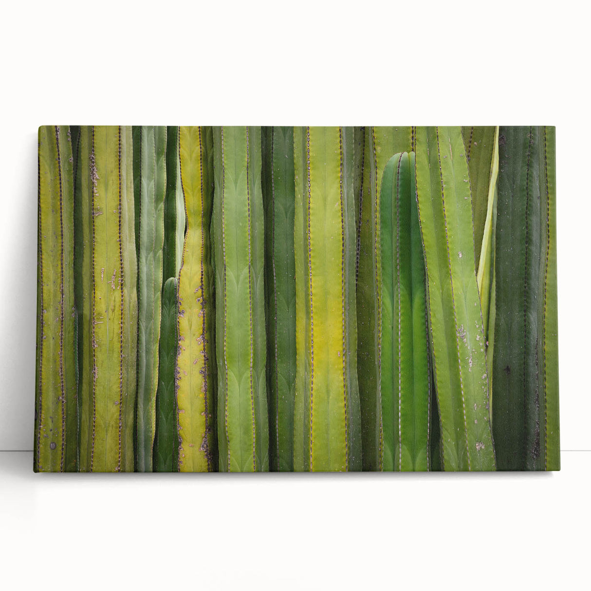 Black and white stretched canvas of Oaxaca scenery, ideal for kitchen wall art or bedroom ambiance.