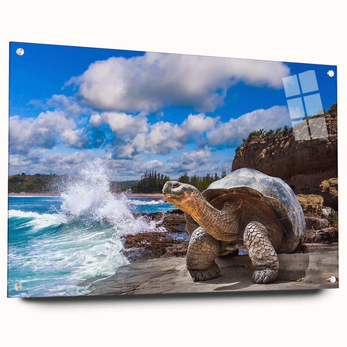 Acrylic print of a Galapagos landscape with vivid blue and green tones, suitable for bedroom or dining room decor.