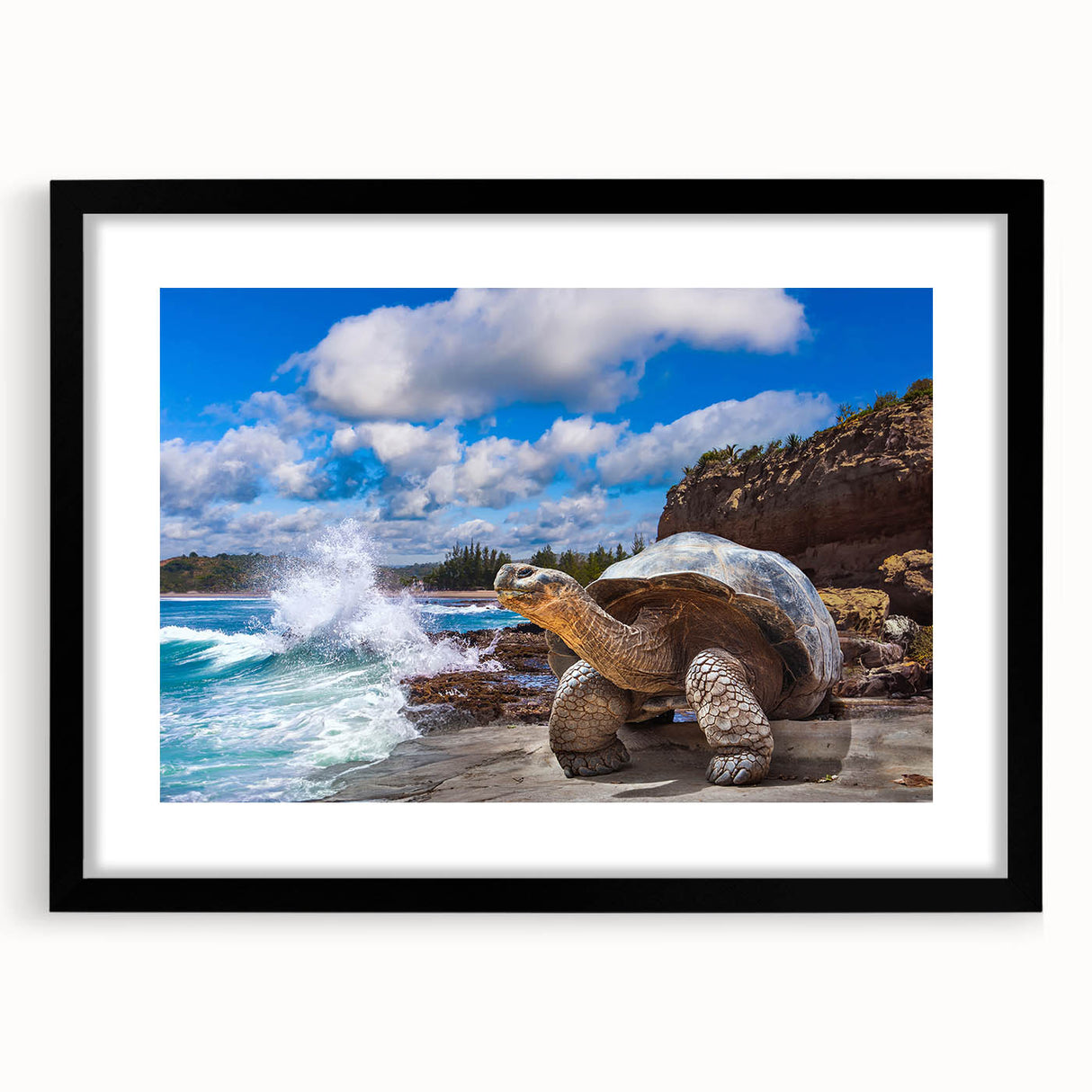 Extra large abstract art print of vibrant, textured scenery from Galápagos, framed in black, ideal for living room decor.