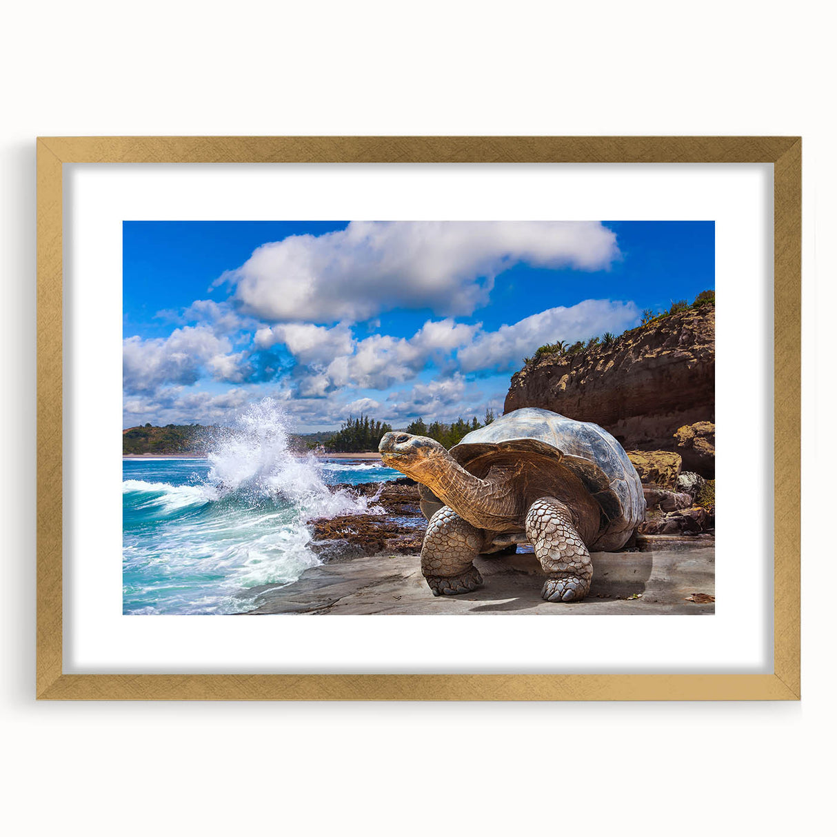 Extra large wall art featuring abstract art prints of Galapagos scenery in textured gold frame.