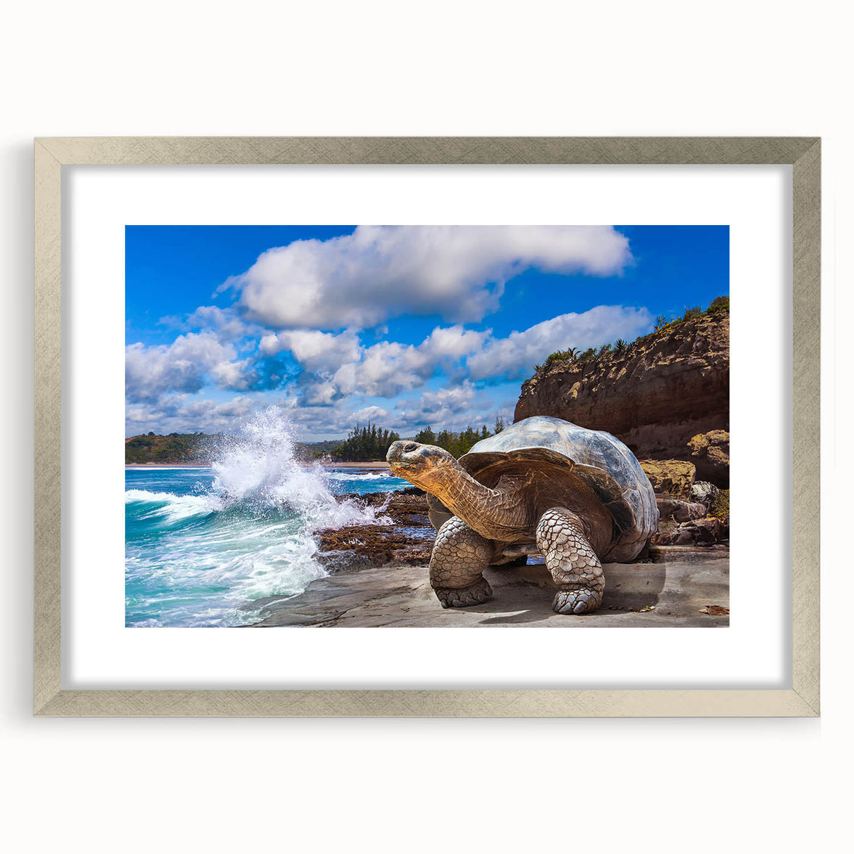 Textured abstract art print depicting a vibrant, colorful Galapagos scenery on a silver-framed mat, ideal for bedroom art.