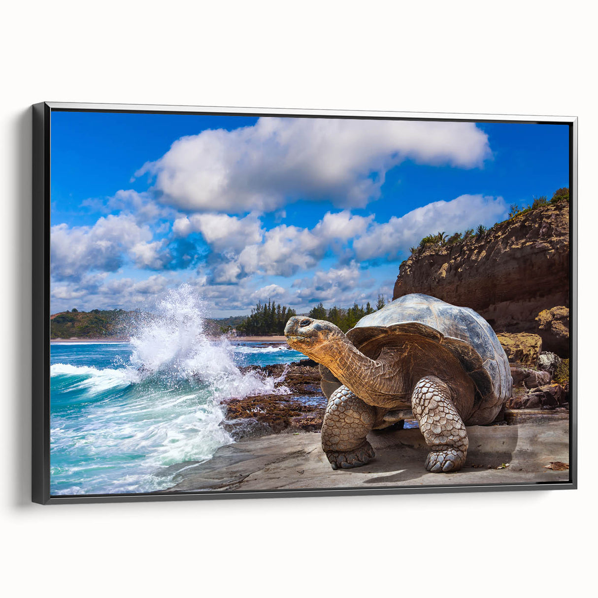 Black and white landscape art painting of the Galápagos on framed canvas, ideal for bedroom wall decor.