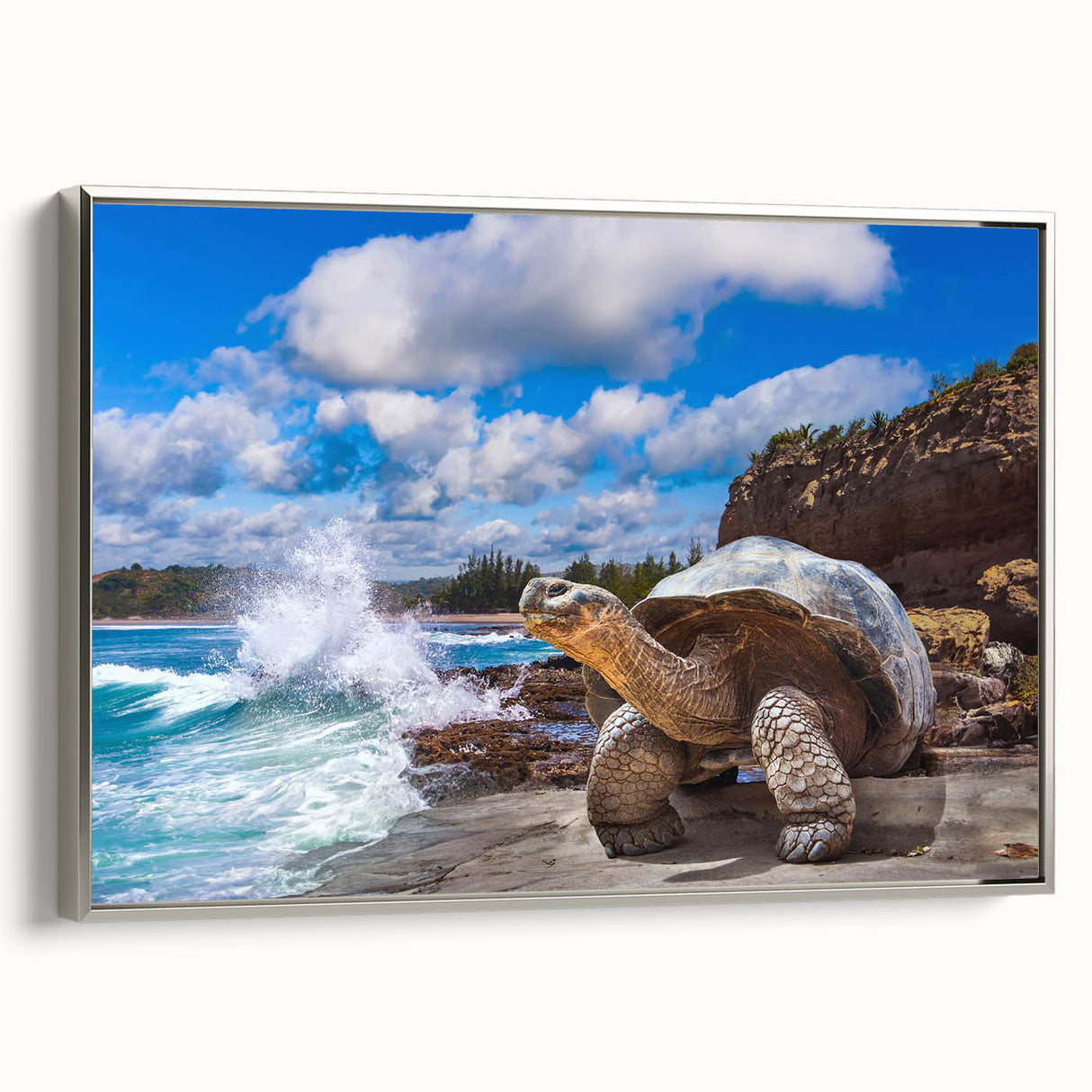 Framed canvas depicting a vintage-style landscape of the Galápagos Islands with a black and colorful palette.