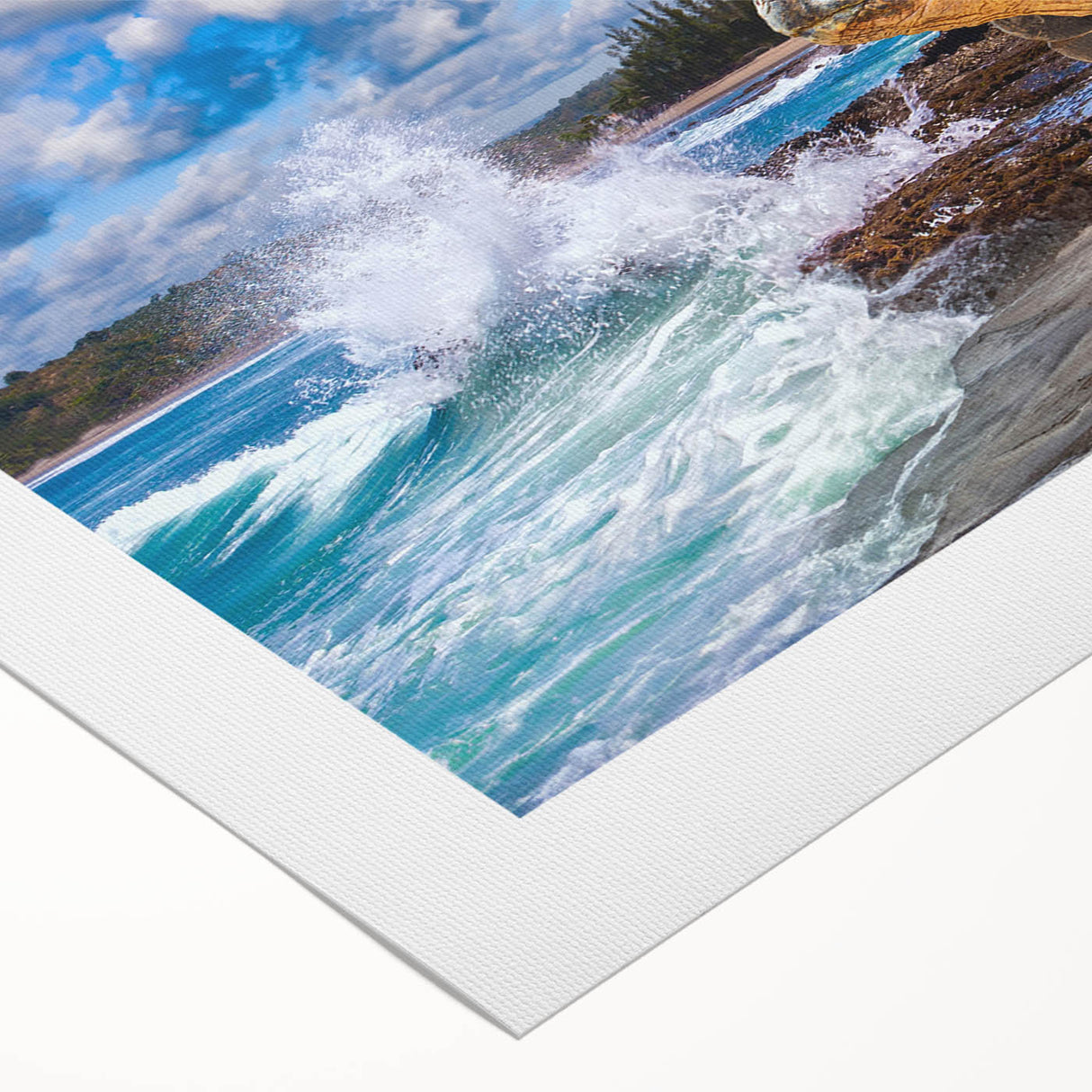 Art deco poster of the Galapagos scenery on rolled canvas, featuring muted earth tones, ideal for dining room wall art.