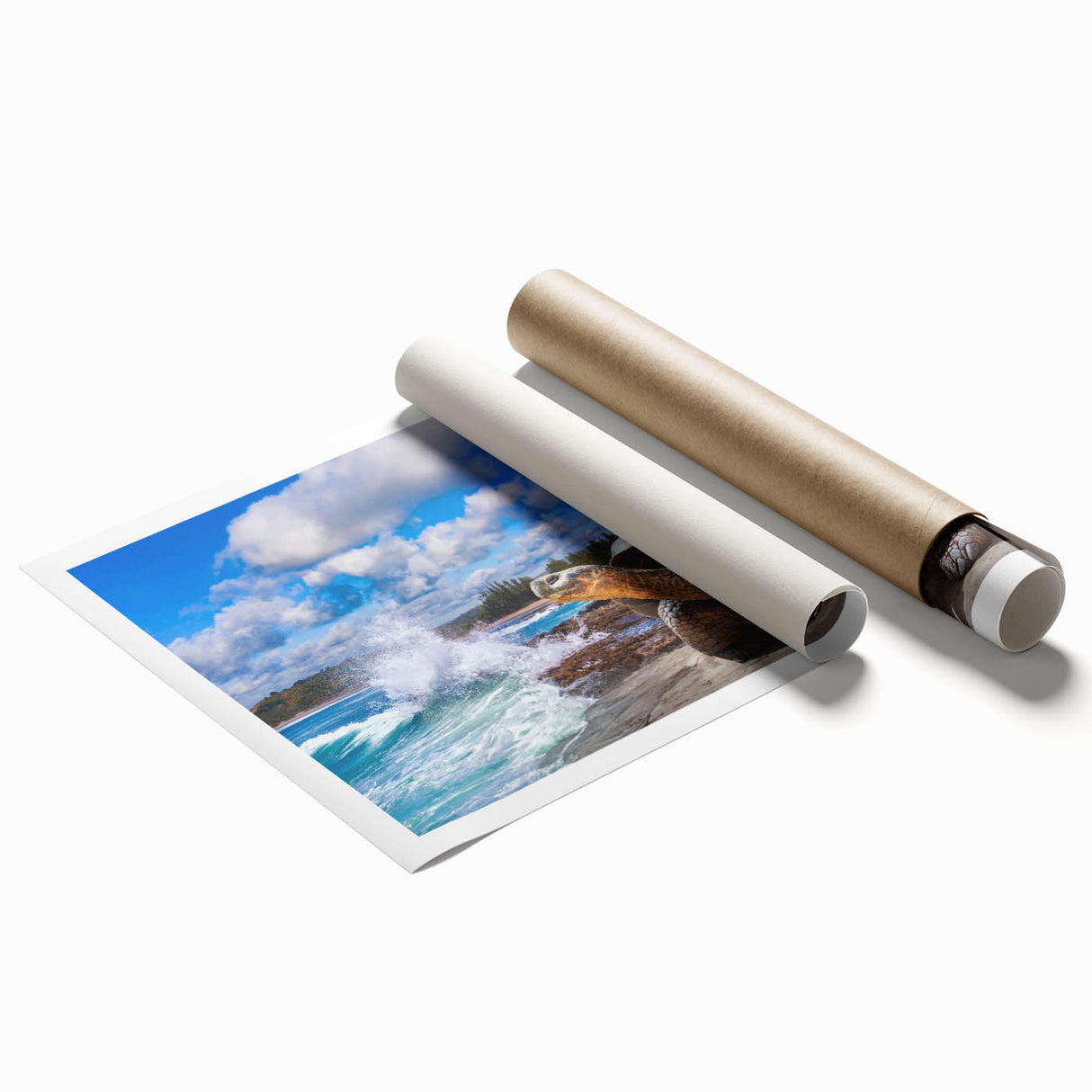 Extra large wall art depicting vibrant Galapagos scenery on rolled canvas.