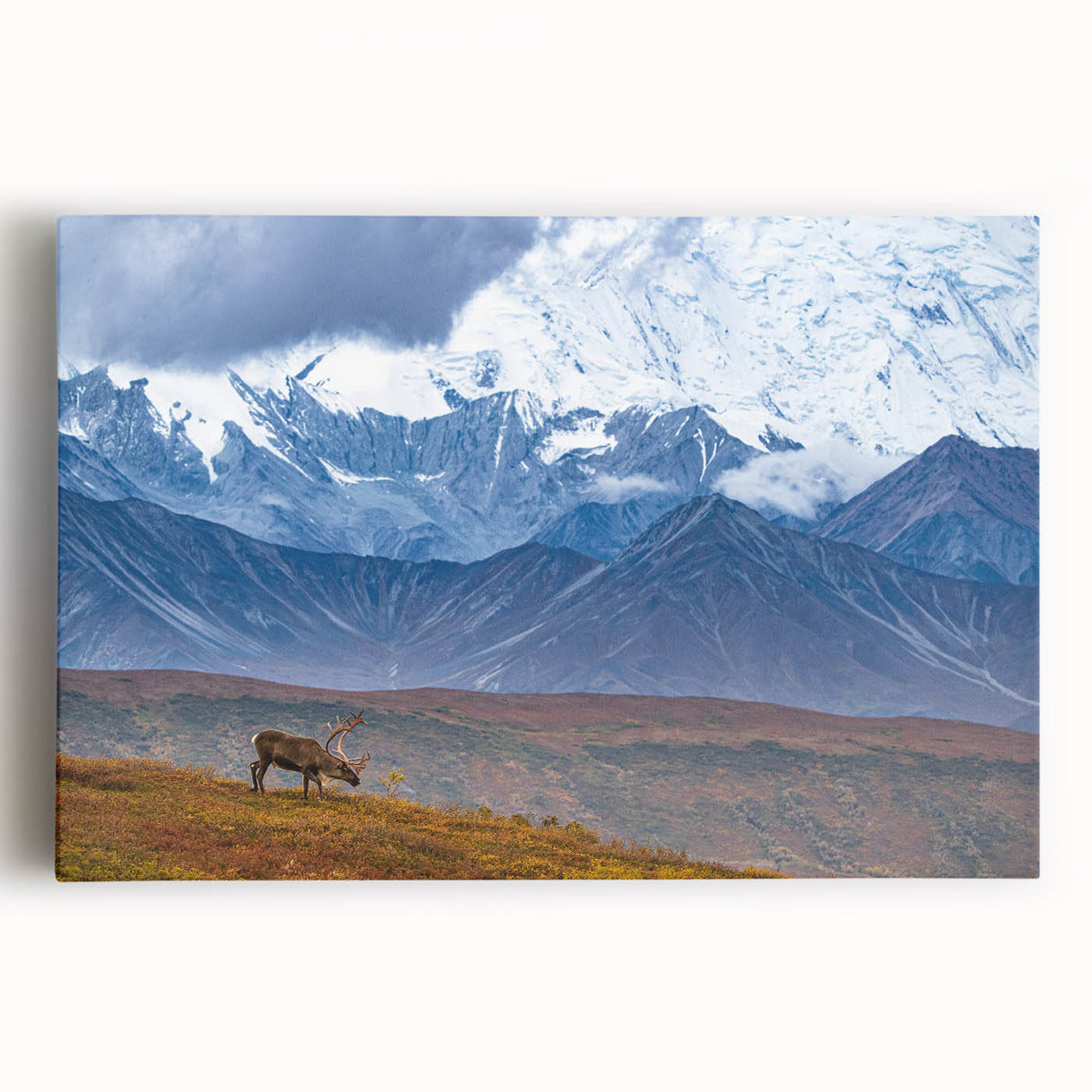 Black and white photograph of an Alaskan landscape on large stretched canvas, suitable for kitchen wall art.