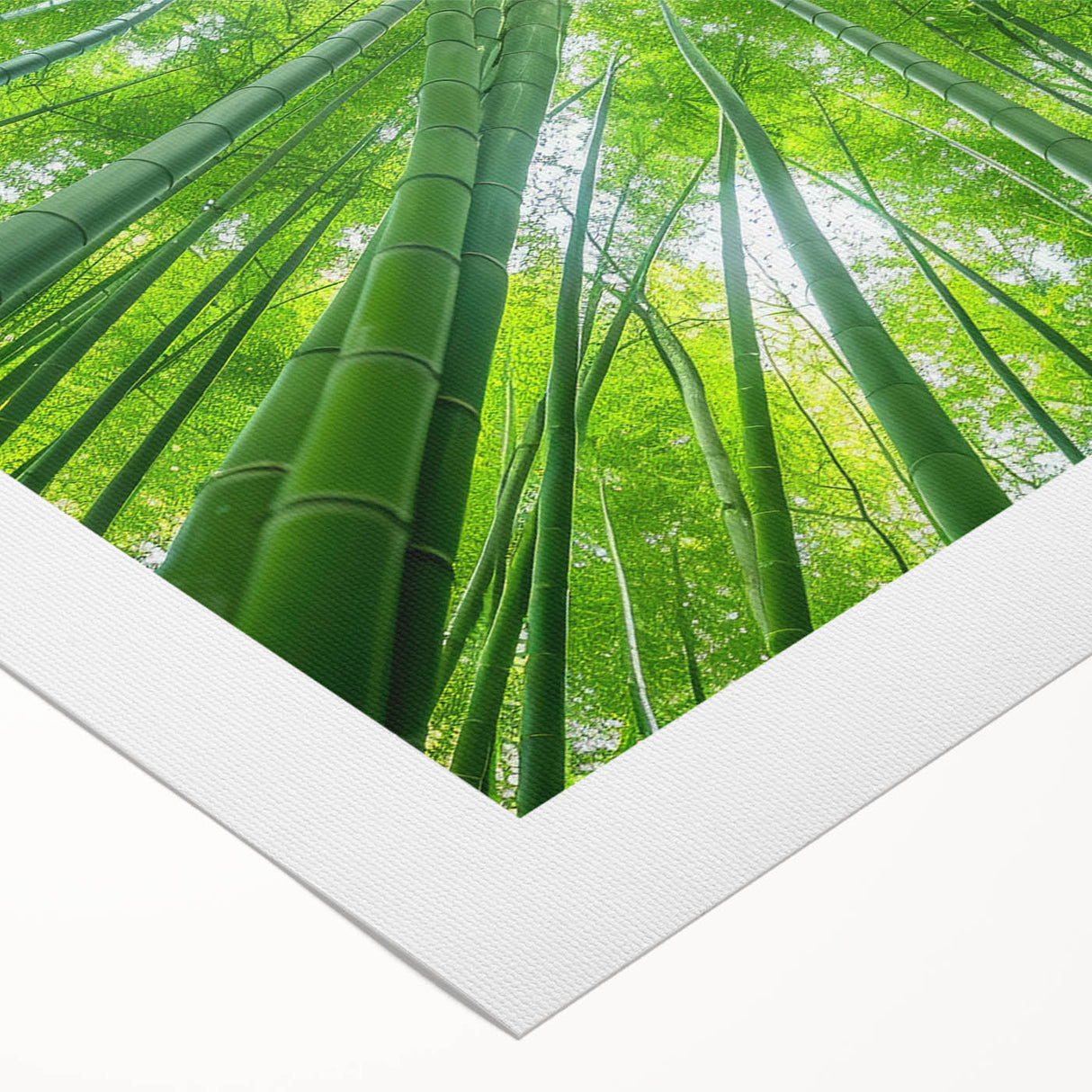 Art deco poster featuring a serene Maui landscape on rolled canvas, suitable for dining room or bathroom.