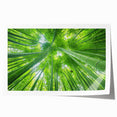Extra large rolled print of a scenic Maui landscape with vibrant green and blue tones, ideal for dining room wall art.