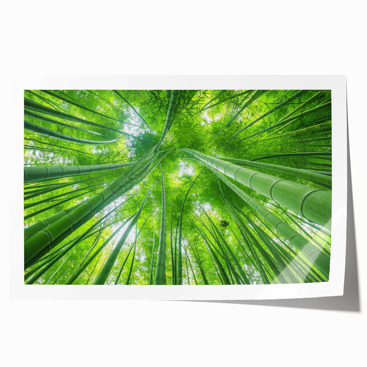 Extra large rolled print of a scenic Maui landscape with vibrant green and blue tones, ideal for dining room wall art.