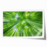 Extra large rolled print of a scenic Maui landscape with vibrant green and blue tones, ideal for dining room wall art.