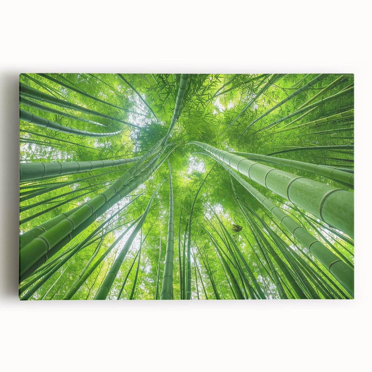 Black and white photo of Maui coastline on stretched canvas, ideal for kitchen wall art.