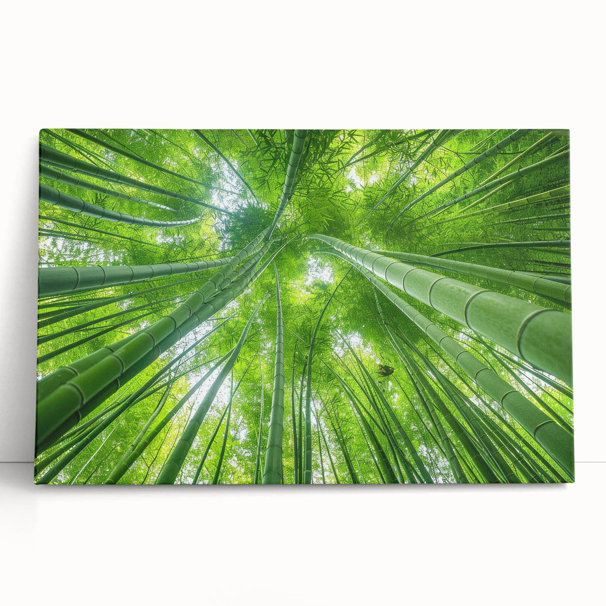 Black and white stretched canvas of a scenic Maui coastline, ideal for kitchen wall art or bedroom ambiance.