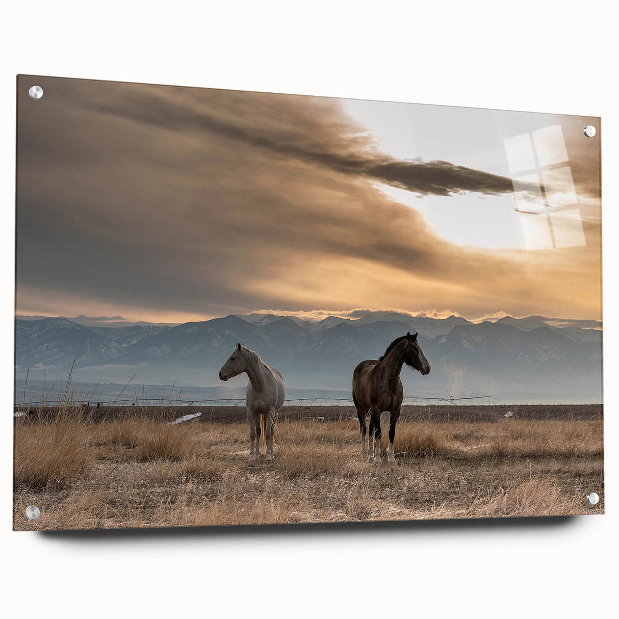 Acrylic glass print of a Montana landscape in muted earth tones, ideal for dining room decor.