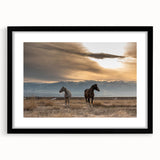 Extra large abstract art print of colorful, textured Montana scenery on a black-framed canvas, ideal for living room decor.
