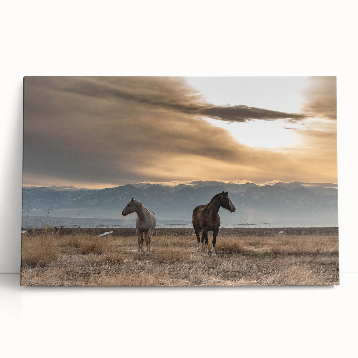 Black and white landscape of Montana on a large stretched canvas, suited for kitchen or bedroom decor.