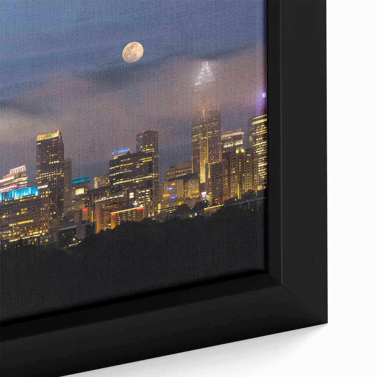 Extra large framed canvas featuring a textured depiction of Charlotte.