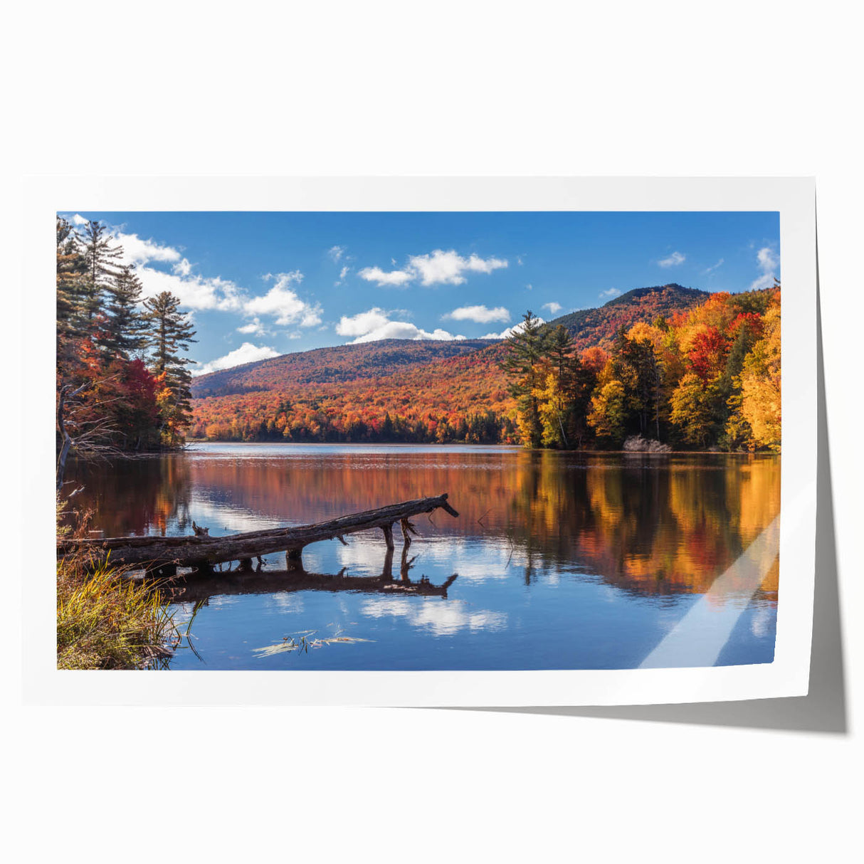 Vermont landscape with floral elements in soft green and brown tones on a rolled canvas, ideal for art wall dining room.