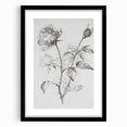 Abstract floral frame design with a black mat, showcasing vibrant colors and intricate details, ideal for enhancing modern home decor. Perfect for art enthusiasts.