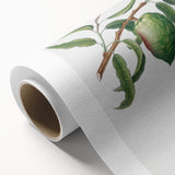 Classic Romantic Paintings: Pelargonium Zonale Art Print