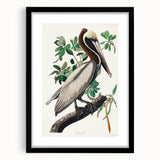 Famous Romantic Era Art: Green Begonia Rex Canvas Print