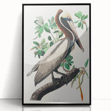 Famous Romantic Era Art: Green Begonia Rex Canvas Print