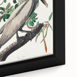 Famous Romantic Era Art: Green Begonia Rex Canvas Print