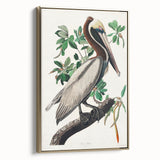 Famous Romantic Era Art: Green Begonia Rex Canvas Print