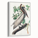 Famous Romantic Era Art: Green Begonia Rex Canvas Print