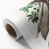 Famous Romantic Era Art: Green Begonia Rex Canvas Print