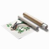 Famous Romantic Era Art: Green Begonia Rex Canvas Print