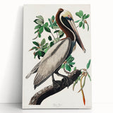 Famous Romantic Era Art: Green Begonia Rex Canvas Print