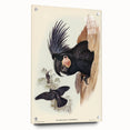 Historical Romanticism Canvas: Ring-necked Pheasant Artwork