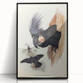 Historical Romanticism Canvas: Ring-necked Pheasant Artwork