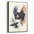 Historical Romanticism Canvas: Ring-necked Pheasant Artwork